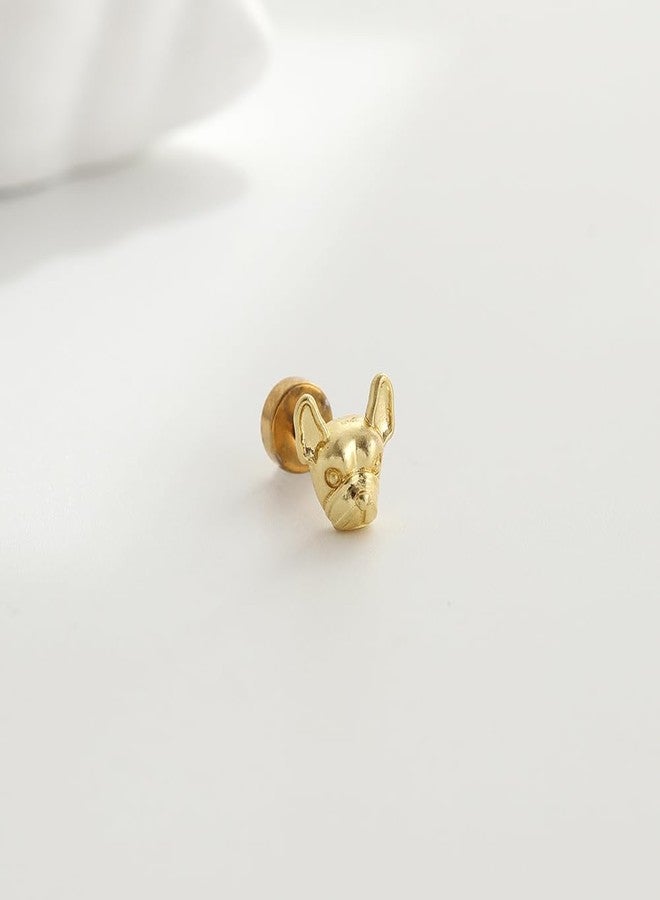 أقراط غضروفية صغيرة بتصميم جرو فرنسي من نياسبي، مقاس 20G، للنساء والرجال، أقراط صغيرة للأذن الداخلية والحلزونية والزنمة، مصنوعة من الفولاذ المقاوم للصدأ (فضية). - Image 5